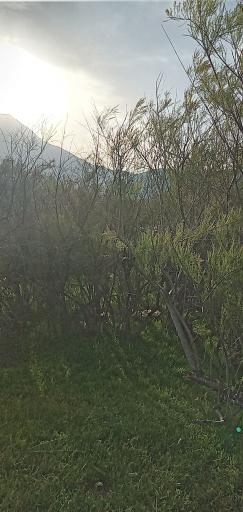 عکس دینور آب
