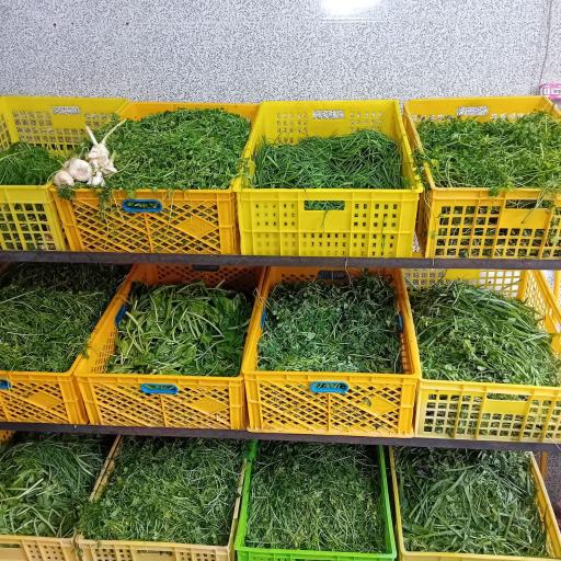 عکس سبزی خردکنی چهارفصل