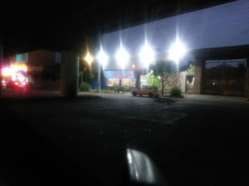 عکس انواع ماهی زنده و قصابی باغ کوروش