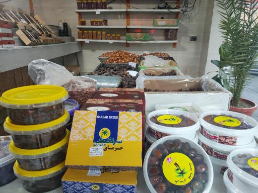 عکس خرما فروشی نخل سبز