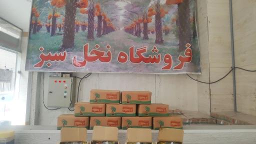 عکس خرما فروشی نخل سبز