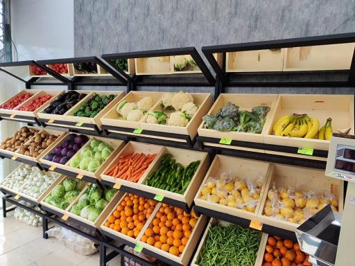 عکس میوه سرای دست چین