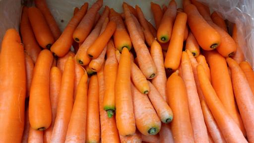 عکس میوه سرای دست چین