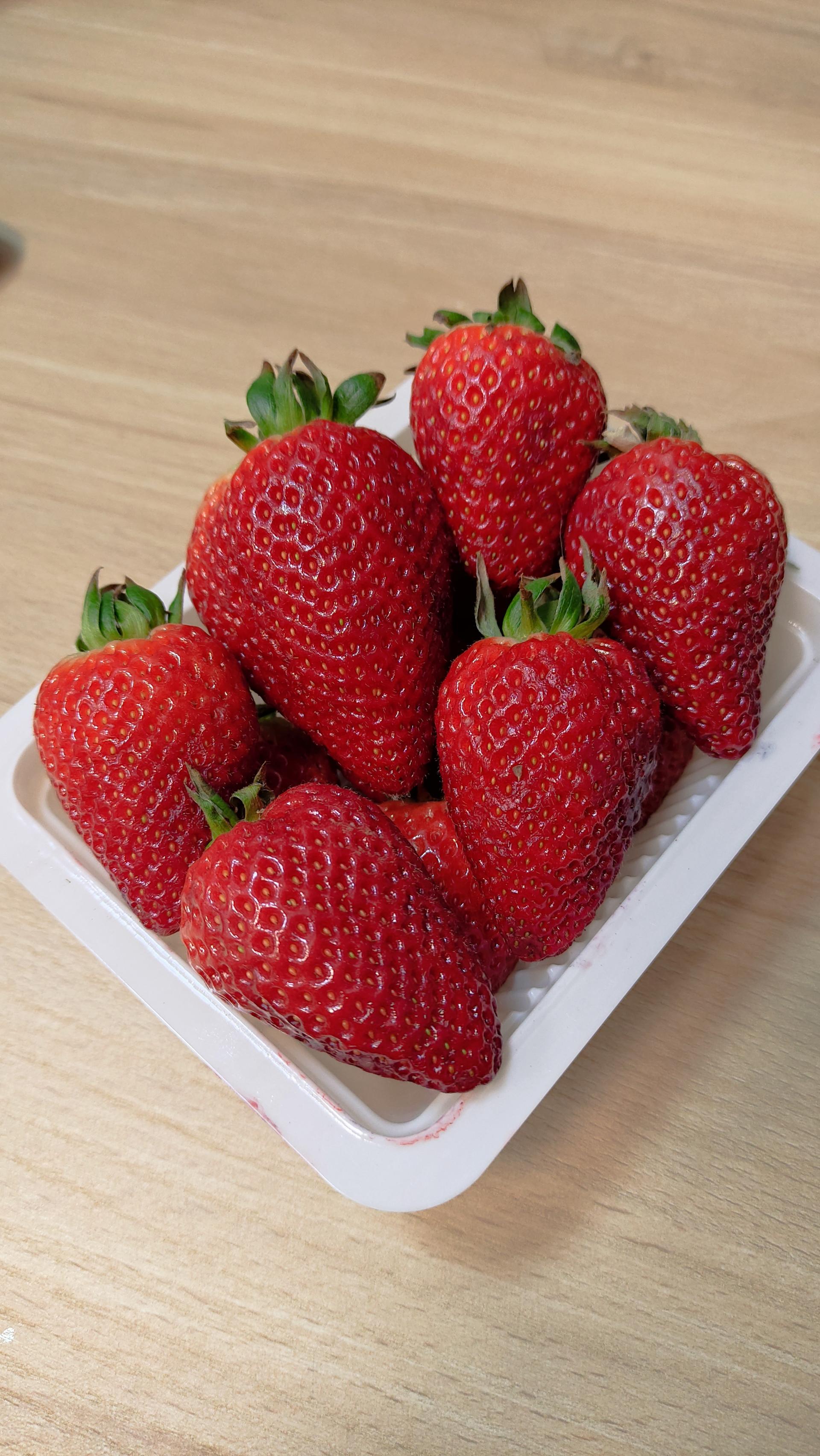 عکس میوه سرای دست چین