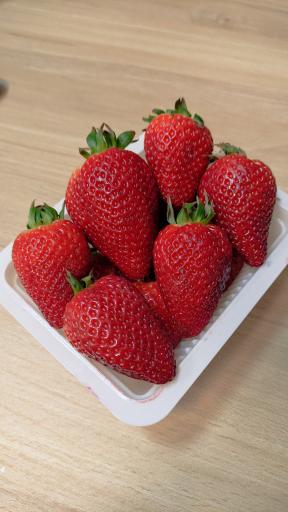 عکس میوه سرای دست چین