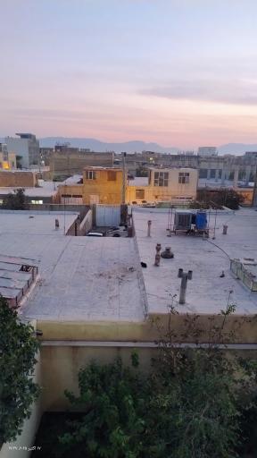 عکس جوجیل