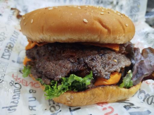 عکس برگر زی