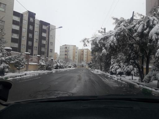 مجتمع میرداماد