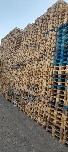 عکس پالت پدیده