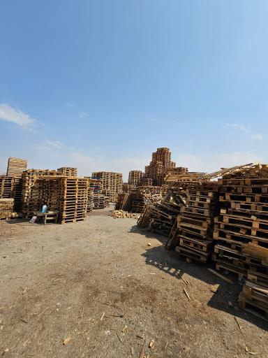 عکس پالت پدیده