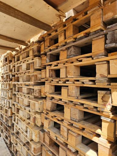 عکس پالت پدیده