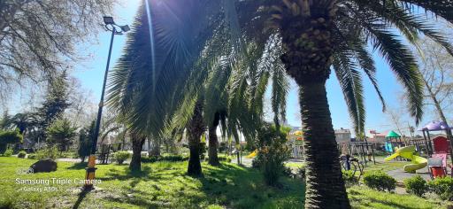 عکس پارک گلباغ لشت نشا