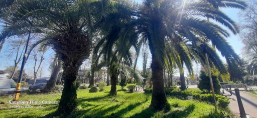 عکس پارک گلباغ لشت نشا