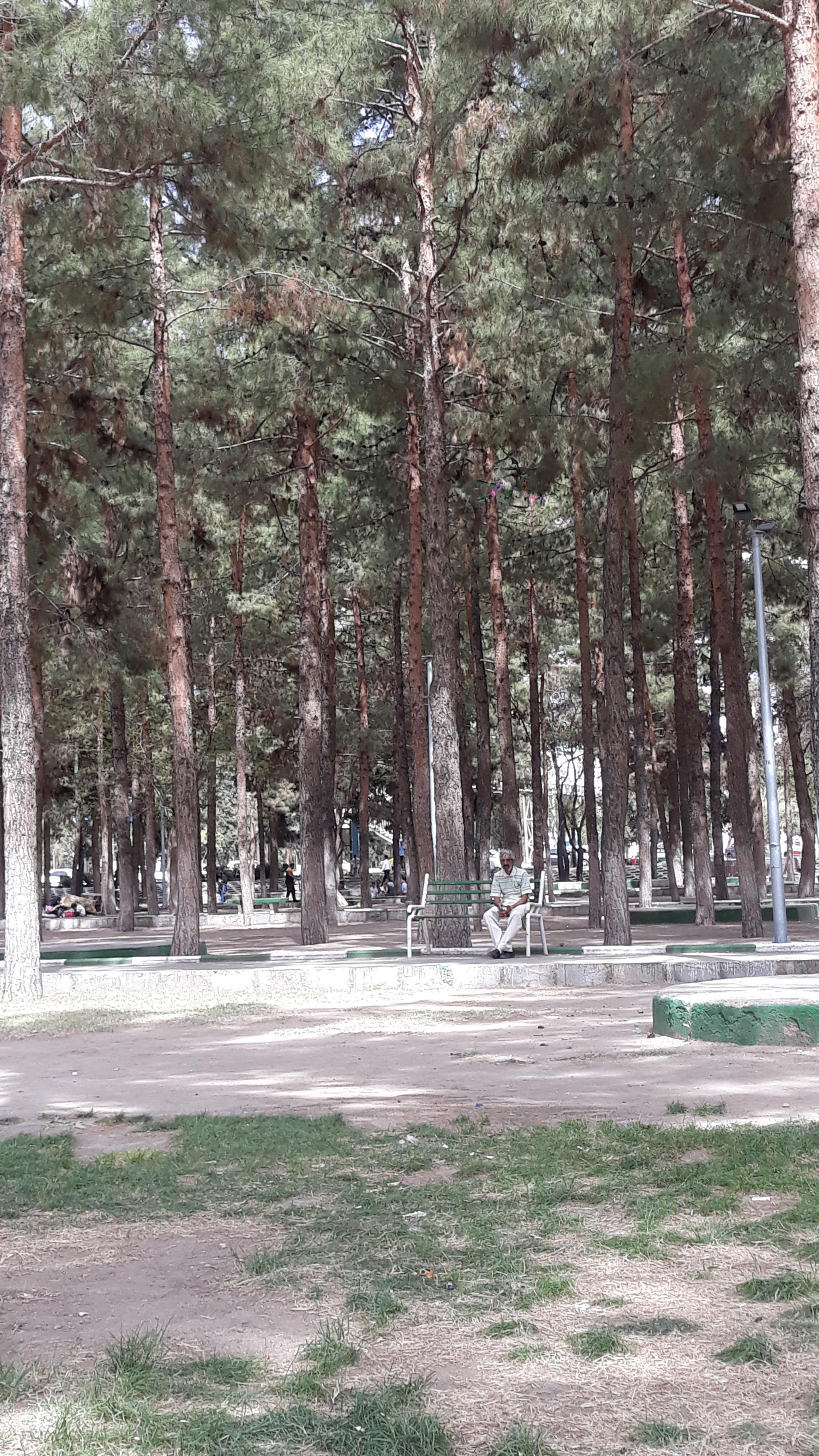 عکس پارک مسافر