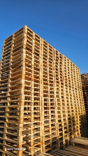 عکس پالت پدیده