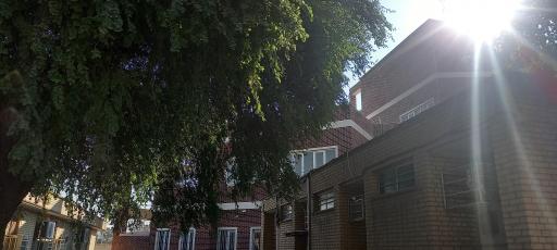 عکس شبکه بهداشت و درمان شهرستان شوش