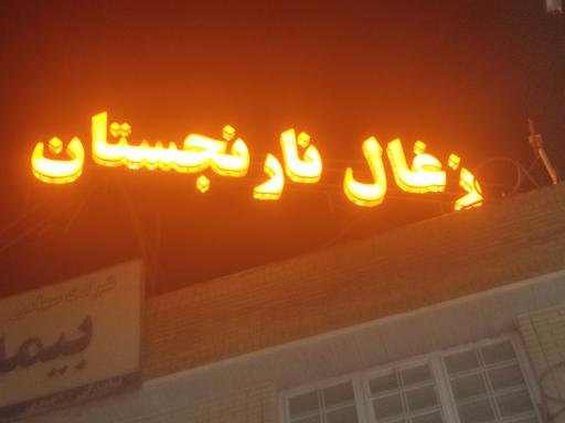 عکس دخانیات و زغال نارنجستان 