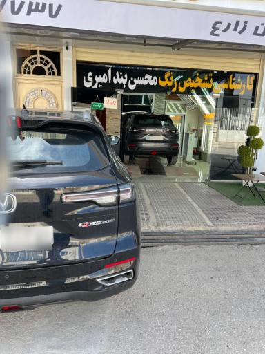 عکس کارشناسی رنگ محسن بندامیری