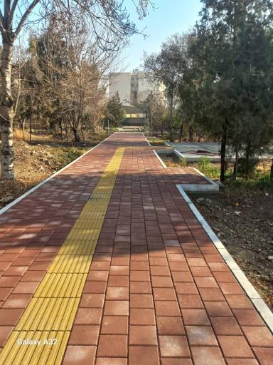 عکس باغ ایرانی 