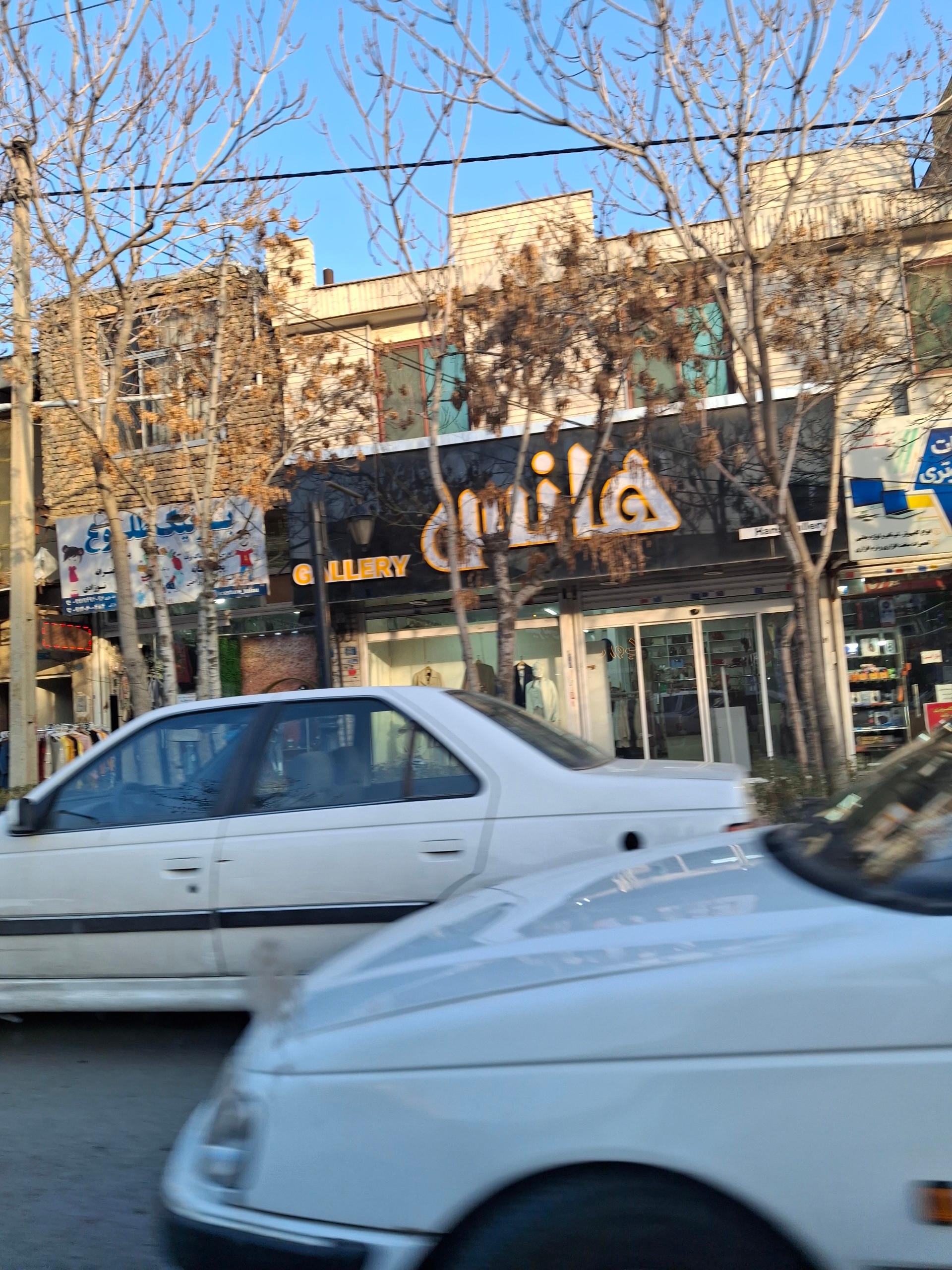 عکس هانس گالری