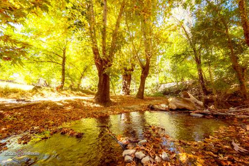 عکس بزنجان