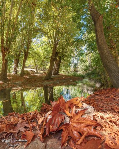 عکس بزنجان