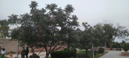 عکس بوستان  خانوادگی سجادیه