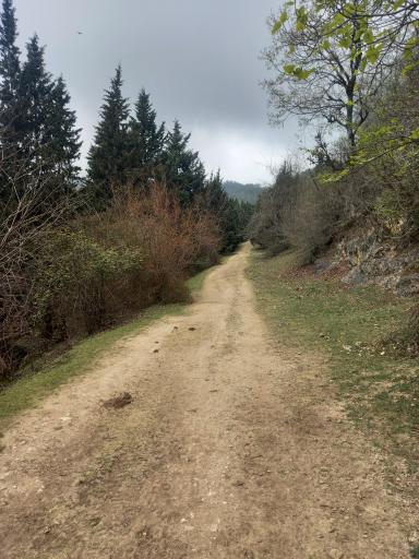 عکس قله تجک