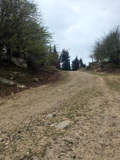 عکس قله تجک