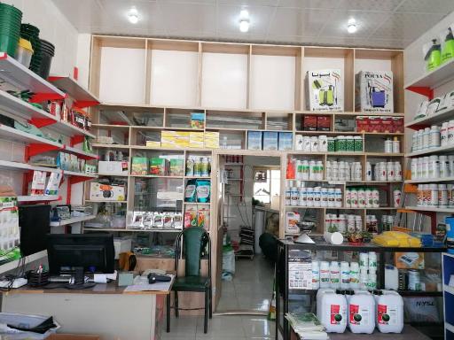 عکس شرکت تندیس سبز دشتستان