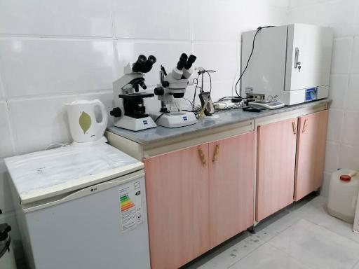 عکس شرکت تندیس سبز دشتستان