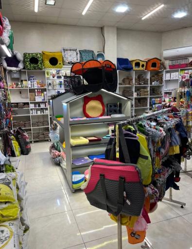 عکس پت شاپ تیله