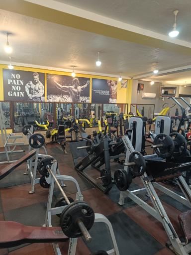 عکس باشگاه بدنسازی آرتمن 