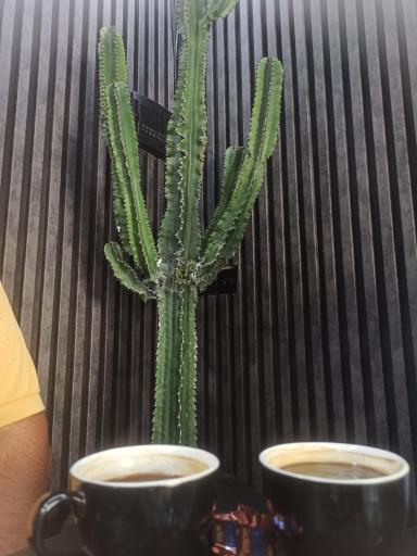 عکس قهوه اتریش