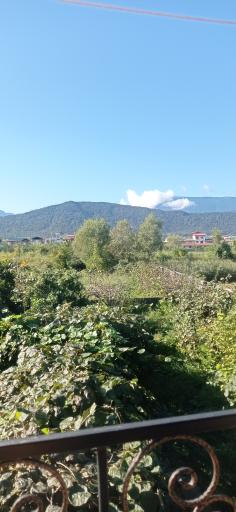 عکس قله تجک