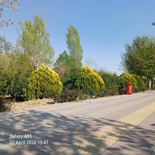 عکس پارک الزهراء(س)