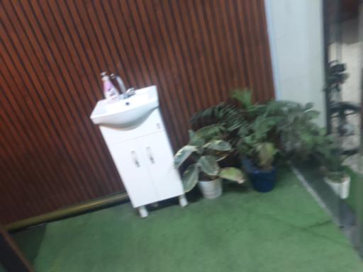 عکس مهر کریسپی