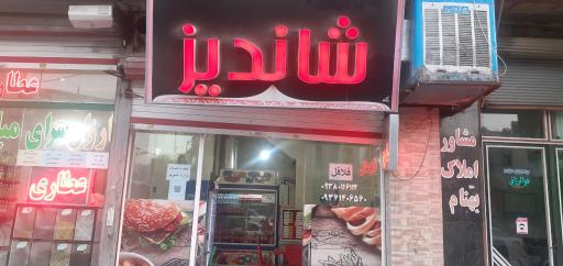 پیتزا و ساندویچ  شاندیز