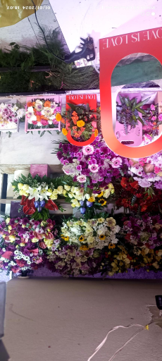 عکس گل خانزاده شعبه اول 