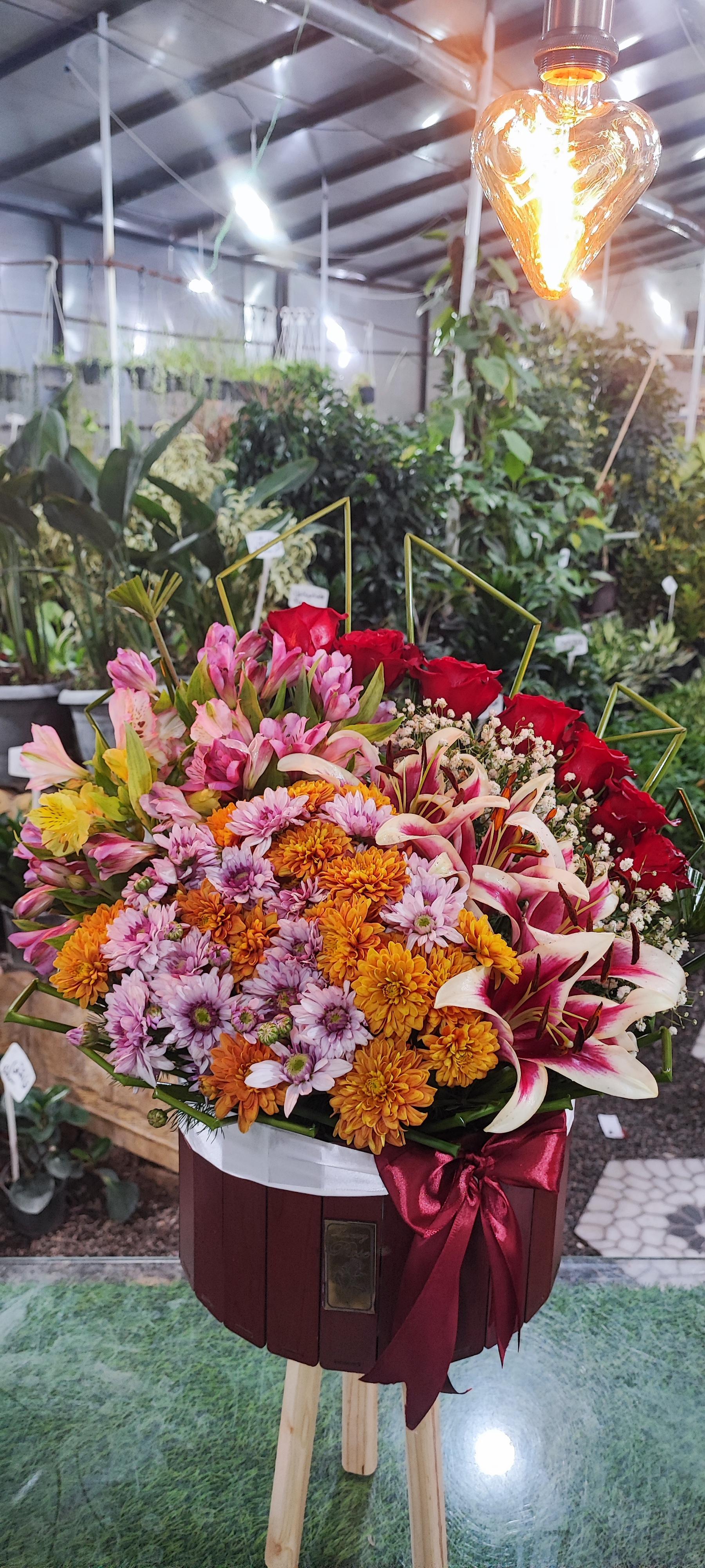 عکس گالری گل سنبل