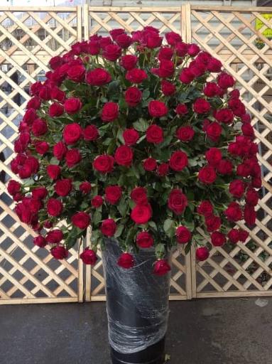 عکس گل خانزاده شعبه اول 