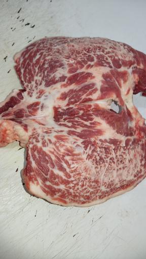 عکس رستوران کاج طلایی