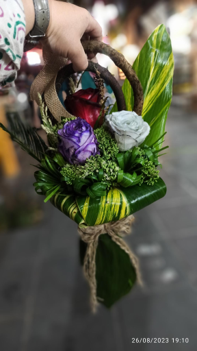 عکس گل خانزاده شعبه اول 