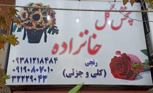 عکس گل خانزاده شعبه اول 