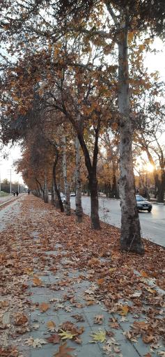 عکس بلوار طاق بستان