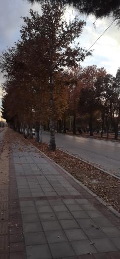 عکس بلوار طاق بستان