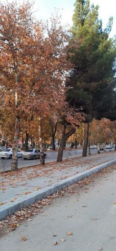 عکس بلوار طاق بستان