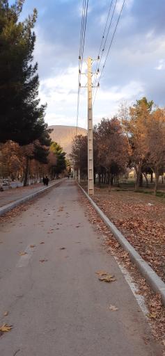 عکس بلوار طاق بستان