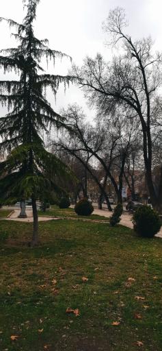 عکس بلوار طاق بستان