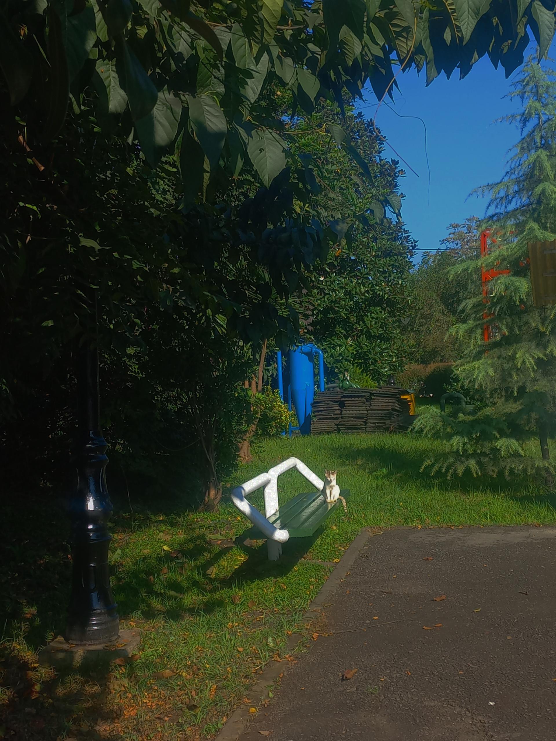 عکس پارک بانوان منظریه